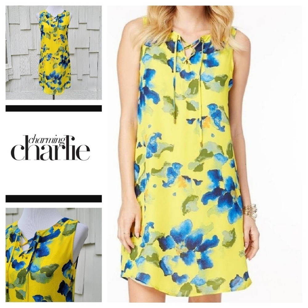Charming Charlie Floral Laced Front Shift Dress